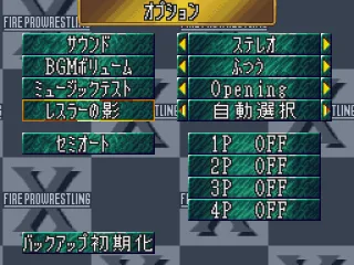 
											Setting options (again, the English patch helps a lot)