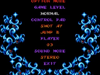 
											Options screen