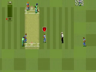 
											Super International Cricket screenshot 7