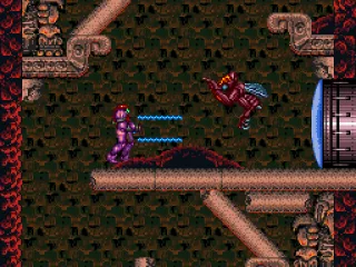
											Ice beams can freeze enemies, but some are immune