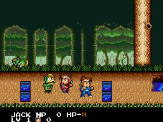
											Battle Screen
