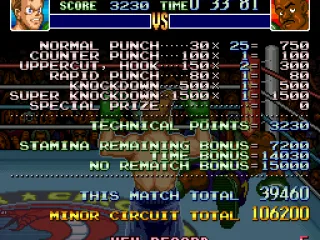 
											Points are calculated on the fighting techniques used