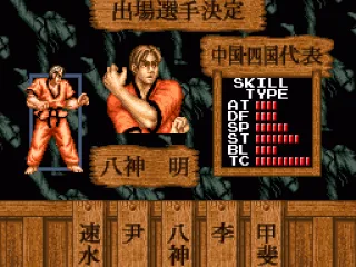 
											Fighter selection