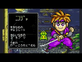 
											Ninja