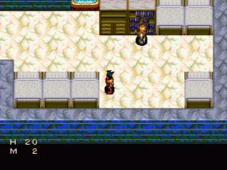 
											This is one of the few SNES games where you can't go through beds ;)