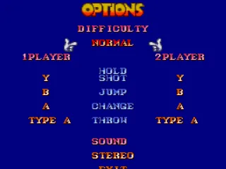 
											Options screen