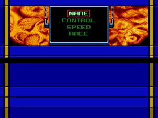 
											Put your name, modify the controls, change the speed mode...