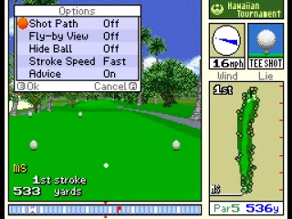 
											Game options