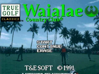 
											Title screen