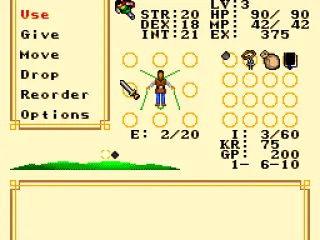 
											Inventory screen