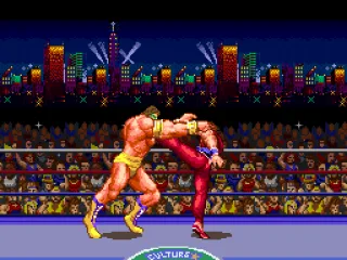 
											Intro cutscene