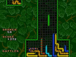 
											Forest background with T grid