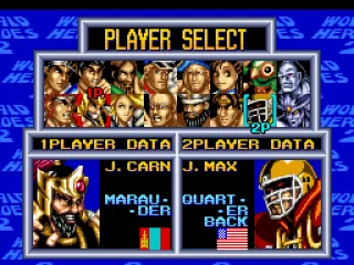 
											Fighter selection.