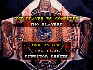 
											One-on-One,Tag Team or Survivor series?