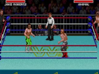 
											Tag team. I'm Jake the Snake and the Undertaker.