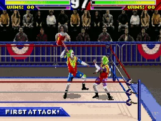 
											Each wrestler has special moves.