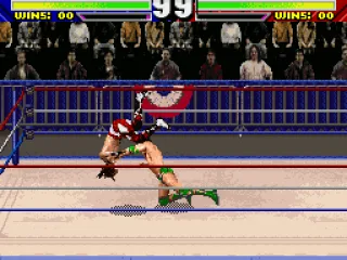 
											Throwing the opponent around.
