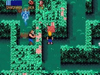 
											Before I could reach him, the neighbor was killed by a chainsaw maniac