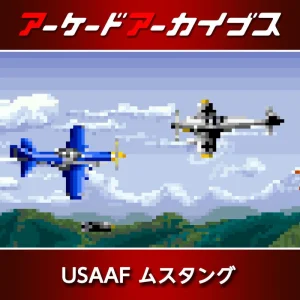 USAAF Mustang