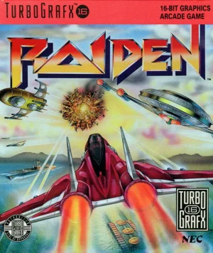 
							Raiden cover